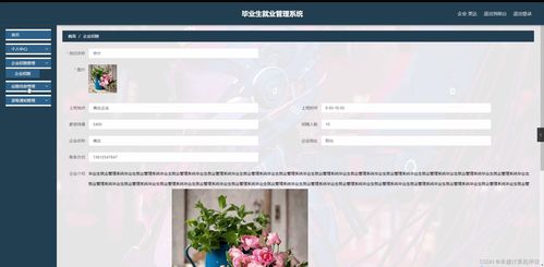 SpringBoot毕业生就业管理系统 研究背景、意义、目的、内容、方案与预期成果